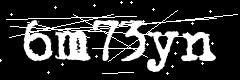 图形验证码