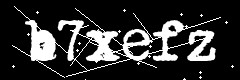 图形验证码